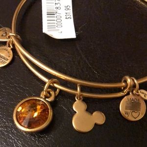 NWT Alex and Ani Disney November birthstone